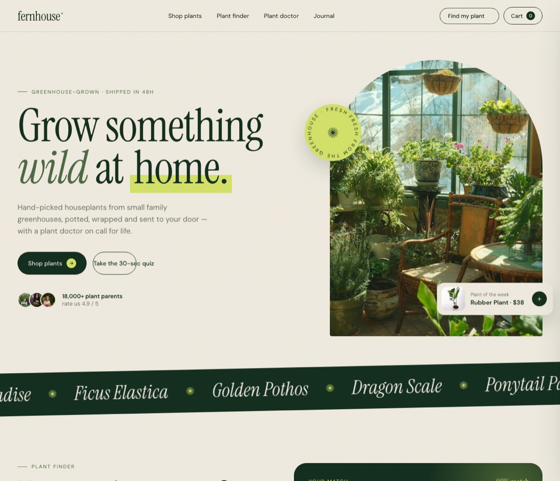 Fernhouse website by Eeysparkz